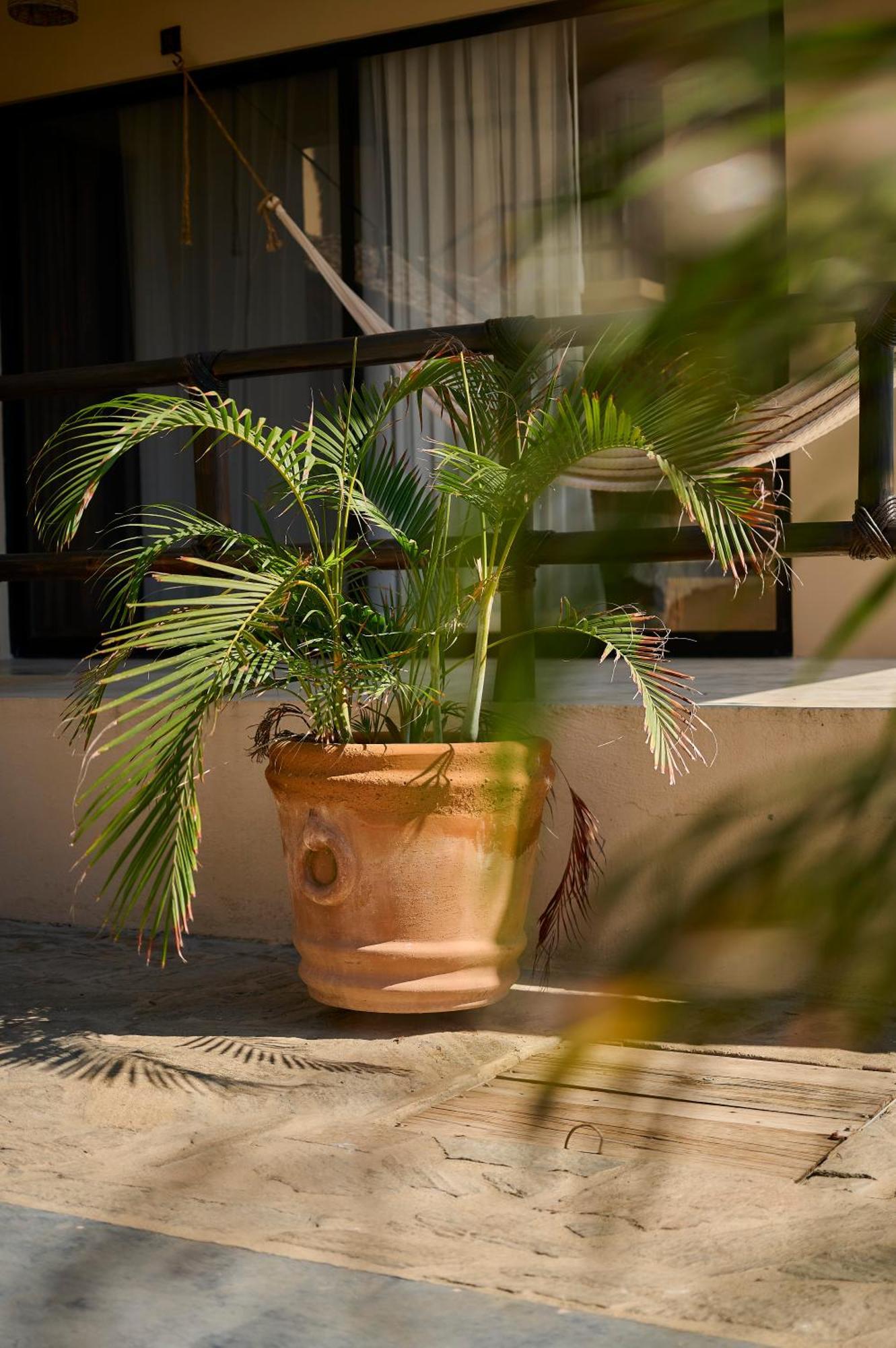 Lya Beach House Santa María Colotepec Esterno foto